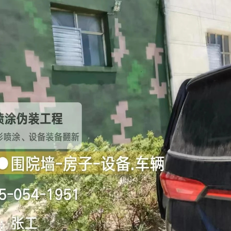 西藏数码迷彩漆施工